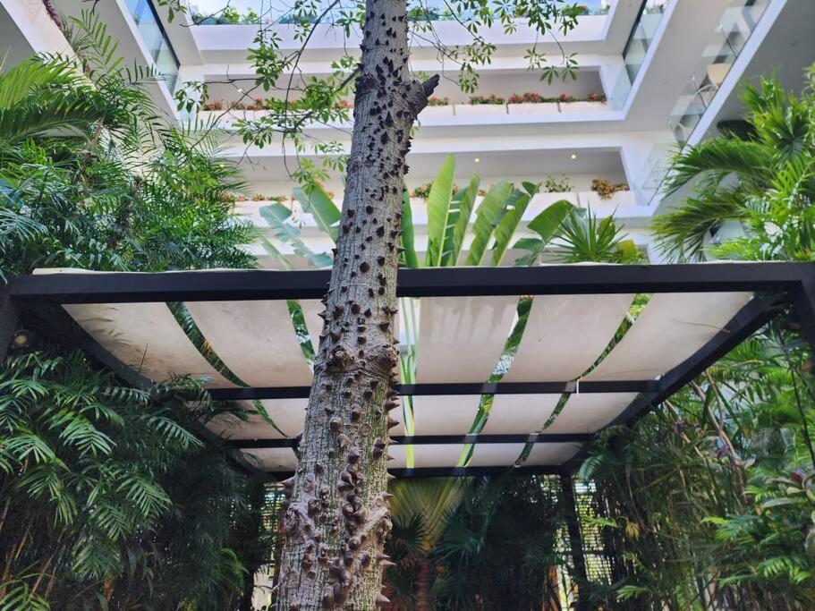 פלאייה דל כרמן Stunning 1 Bdrm Condo Gym-Pool 10 Min To The Beach & Quinta Av מראה חיצוני תמונה